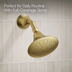 Rite-Temp® bath and shower trim kit, 1.75 gpm