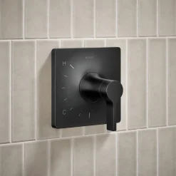 Rite-Temp® shower trim kit, without showerhead