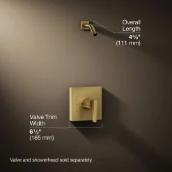 Rite-Temp® shower trim kit, without showerhead