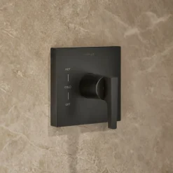 Rite-Temp® shower trim kit, without showerhead