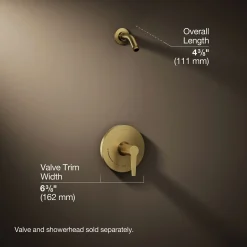 Rite-Temp® shower trim kit, without showerhead