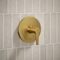 Rite-Temp® shower trim kit, without showerhead