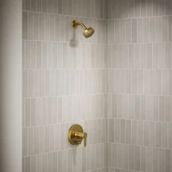 Rite-Temp® shower trim kit with push-button diverter, 2.5 gpm