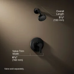 Rite-Temp® shower trim kit with push-button diverter, 2.5 gpm