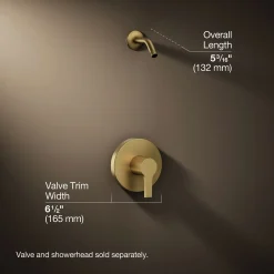 Rite-Temp® shower trim kit, without showerhead