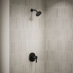 Rite-Temp® shower trim kit with push-button diverter, 2.5 gpm