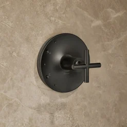 Rite-Temp® shower trim kit with cross handle, 2.5 gpm