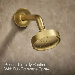 Rite-Temp® shower trim kit with lever handle, 2.5 gpm