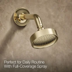 Rite-Temp® shower trim kit with lever handle, 2.5 gpm