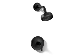 Rite-Temp® shower trim kit with lever handle, 2.5 gpm