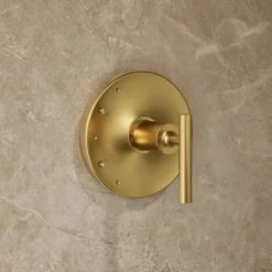 Rite-Temp® shower trim kit with lever handle, 2.5 gpm