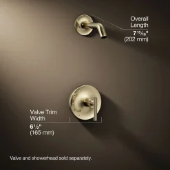 Rite-Temp® shower trim kit with lever handle, without showerhead