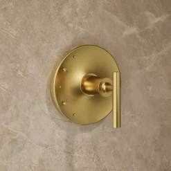 Rite-Temp® shower trim kit with lever handle, without showerhead