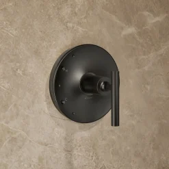 Rite-Temp® shower trim kit with lever handle, without showerhead