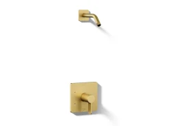 Rite-Temp® shower trim kit, without showerhead