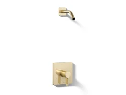 Rite-Temp® shower trim kit, without showerhead