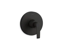 Rite-Temp® valve trim with lever handle
