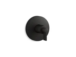 Rite-Temp® valve trim with Lever handle