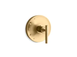 Rite-Temp® valve trim with lever handle