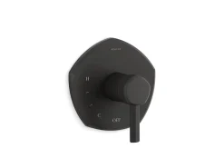 Rite-Temp® valve trim with lever handle