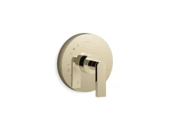Rite-Temp® valve trim with lever handle
