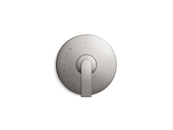 Rite-Temp® valve trim with lever handle