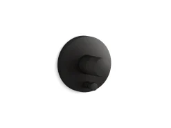 Rite-Temp® valve trim with Oyl handle and diverter