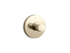 Rite-Temp® valve trim with Oyl handle