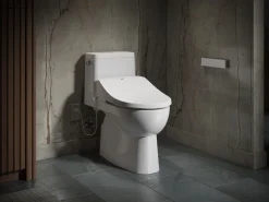 Round-front bidet toilet seat with remote control