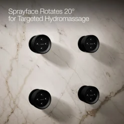 Round single-function body spray, 2.5 gpm
