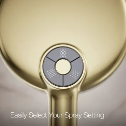 Round three-function handshower, 2.5 gpm