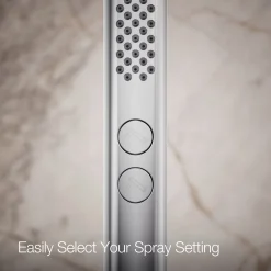 Round two-function handshower, 2.5 gpm