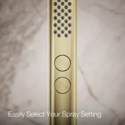 Round two-function handshower, 2.5 gpm