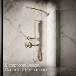 Round two-function handshower, 2.5 gpm