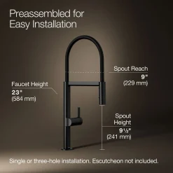 Semi-professional kitchen sink faucet with two-function sprayhead