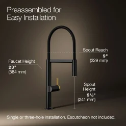 Semi-professional kitchen sink faucet with two-function sprayhead