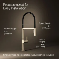 Semi-professional kitchen sink faucet with two-function sprayhead