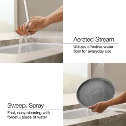 Semi-professional kitchen sink faucet with two-function sprayhead