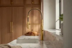 Semi-professional kitchen sink faucet with two-function sprayhead
