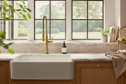 Semi-professional kitchen sink faucet with two-function sprayhead