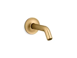 Shower arm and flange