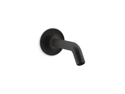 Shower arm and flange