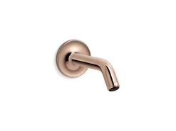 Shower arm and flange