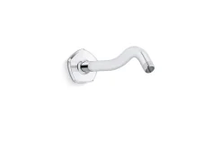 Shower arm and flange