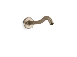 Shower arm and flange
