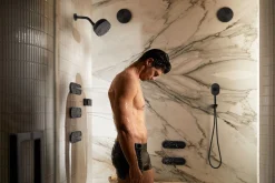Shower arm and flange