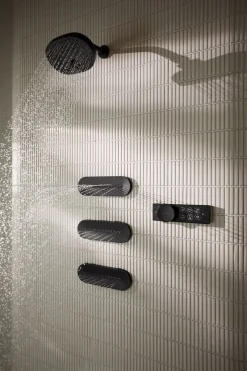 Shower arm and flange