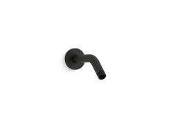 Shower arm and flange