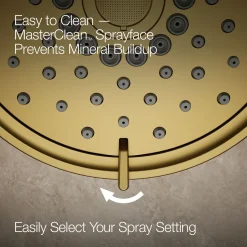 Showering Kit, 2.5 gpm