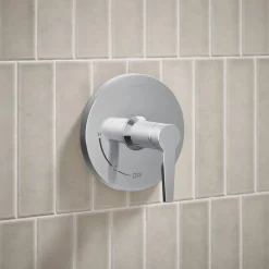 Showering kit, 2.5 gpm